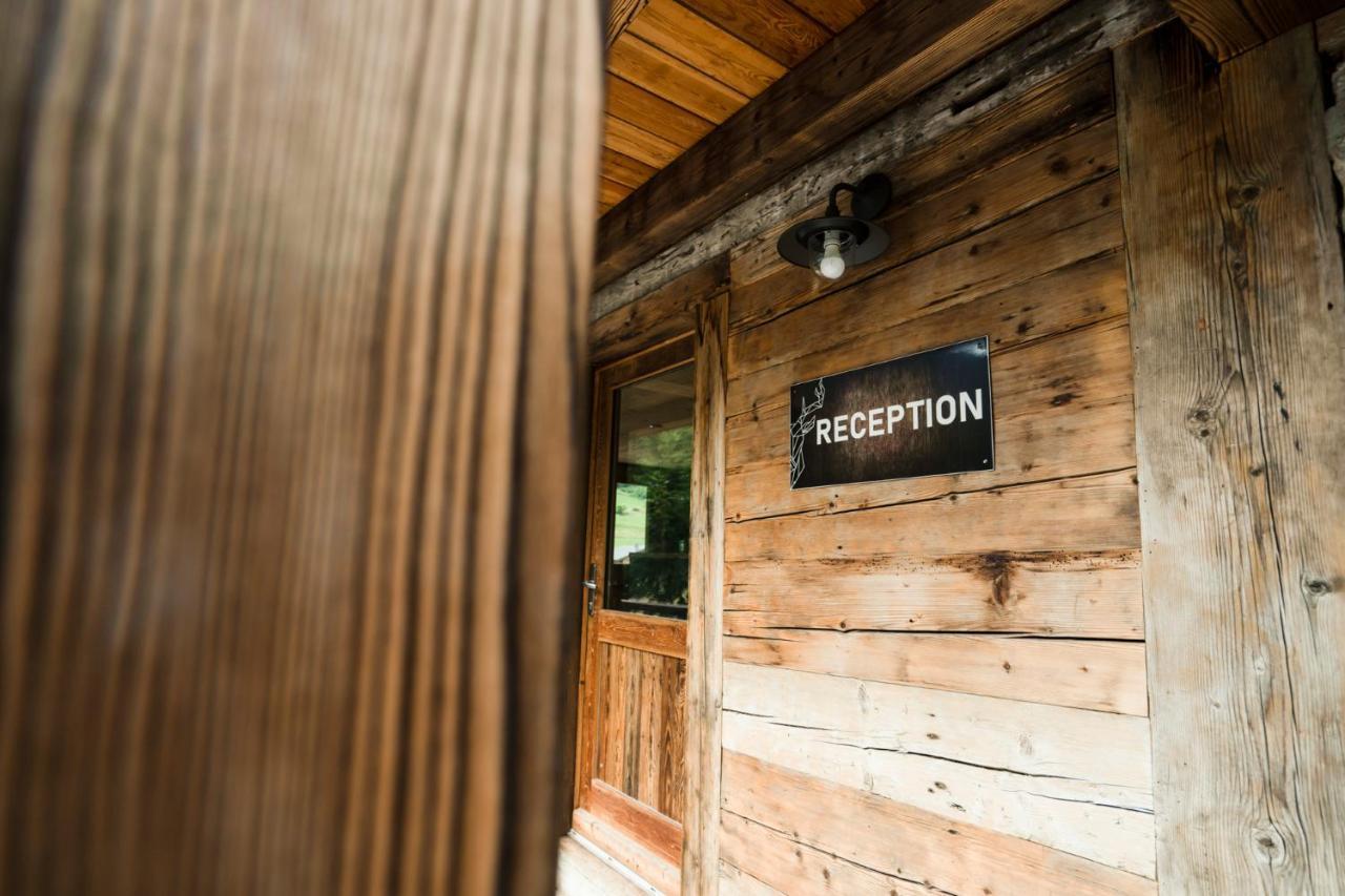 Chalet Les Cerfs Châtel 외부 사진